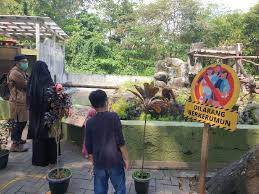 Tanna, orang utan berusia 12 tahun, merawat bayinya yang berusia 2 minggu di safari ramat gan, israel. Ribuan Wisatawan Serbu Kebun Binatang Gembira Loka Yogyakarta Travel Tempo Co