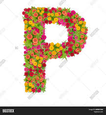 However, there are many more. Letter P Alphabet Made Image Photo Free Trial Bigstock