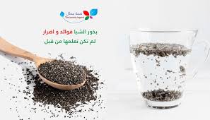 بذور الشيا فوائد و اضرار لم تكن تعلمها من قبل تفاصيل و معلومات مهمة لصحتك Sehajmal Food Beauty Condiments