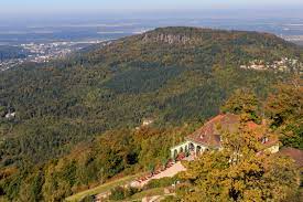 Tyskland vill inleda vaccinering av samtliga vuxna i juni, och kan tänka sig att köpa ryskt. Schwarzwald Wikipedia