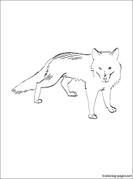 Arctic Fox Polar Fox Coloring Page For Free Coloring Pages Fox Coloring Page Coloring Pages Dog Coloring Page