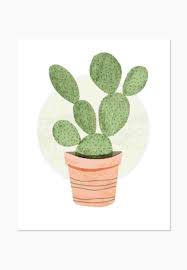 .cactus black and white sketch house plants isolated on white background potted cactus this vector resource about graphic, cactus, botanical is easy for modification and ideal for printing. Orasnap Cute Cactus Drawings Tumblr