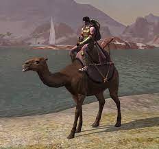 Unfortunately, thralls are much squisher than they should be due to a series of conan exiles bugs currently plaguing servers, and in one particularly glaring glitch, they can even be. List And Detail Of Mounts Henryx Age Of Conan Blog
