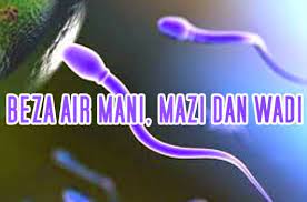 Air mani , air mazi dan air wadi.apakah maksud ketiga2 air ni?mesti ramai yang konfius dan ada juga yang tak tahu apa2.ok tajuk kita adalah pasal air2 tu suma hari ni,ok??walaupun aku bukan uztaz atau ustazah.tak salah kalau kita cakap pasal ni kan?kadang2 manusia ni terlampau malu utk. Air Yang Keluar Dari Kemaluan Islam Itu Indah