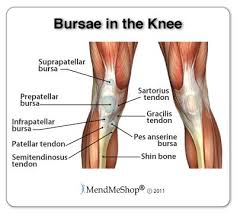 Pin On Nurse Study The Art Science Of Awesome