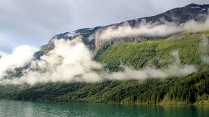 De fjorden zijn al diverse keren uitgeroepen tot mooiste plek. De Natuur In Noorwegen Beren In Noorwegen