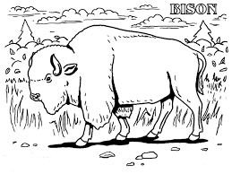 Free Printable Bison Coloring Pages For Kids Animal Coloring Pages Animal Coloring Books Coloring Pages
