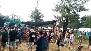 Image result for shockraver