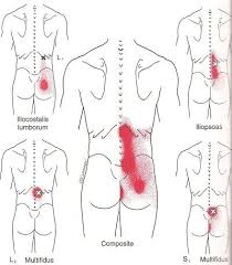 Pin On Healthy Body