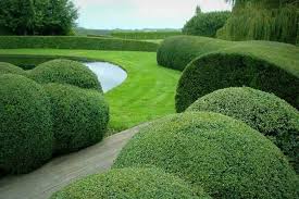 Beautiful Garden Formaler Garten Garten Pflanzen