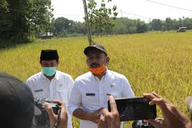 To have you ever had test at pt medion ? Page 15 Pemerintah Kabupaten Ngawi