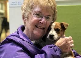 Companion care pet hospital 2069 aloma ave winter park fl 32792. 13 Companion Pet Care Winter Park Ideas Gamespulak