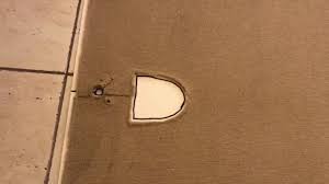 How To Simply Replace A Bathroom Carpet With Vinyl Floor Covering Step 2 Floor Coverings Vinyl Floor Covering Diy Plumbing