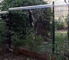 Zaun Mardersicher Fuchssicher Kaninchen Plexiglasrohre Katze Zaun Aussengehege Fur Katzen Katzengehege