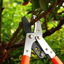 Husqvarna's 525pt5s is the longest telescopic pole saw in its class*. Choose The Best Tree Pruner From Top 5 Grow Gardener Blog
