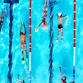Halifax Club Gala — Halifax Swimming Club event image