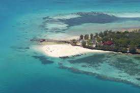 Tripadvisor has 217,802 reviews of zanzibar island hotels, attractions, and restaurants making it your best zanzibar island resource. Stone Town And Prison Island From Zanzibar 2021