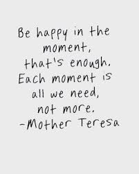 Of course i'm crazy, but that doesn't mean i'm wrong. A Beautiful Reminder To Be Present In The Moment Not Let The Craziness Of Life Steal The Joy All Around Us Quot Moments Quotes Perspective Quotes Joy Quotes