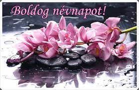 Ekkor az adott naptári naphoz tartozó keresztnevet viselő személyt a közeli hozzátatrozói megünneplik. Nevnap Google Kereses Happy Birthday To You Happy Birthday Orchids