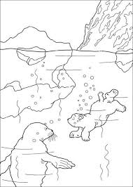 Dogs love to chew on bones, run and fetch balls, and find more time to play! Lars The Little Polar Bear Coloring Pages 12 Polar Bear Coloring Page Bear Coloring Pages Animal Coloring Pages