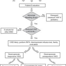 Aprox 5cm on vwd and 3 cm on the dad. Diagnostic And Therapeutic Flowchart For Vwd The Finding Of Low Vwf Download Scientific Diagram