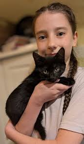 Newport. Waiting at the shelter