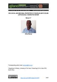 Image result for Pouzolzia mixta