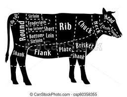 cut of beef diagram for butcher beef cut