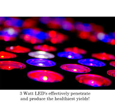 We did not find results for: Deluxe 3 0 Led Grow Cabinet