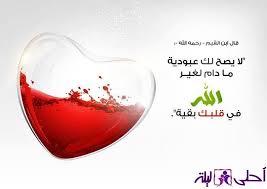 ★ soal kuis ujian tauhid ★ soal kuis ujian wudhu ★ soal kuis ujian puasa ★ soal kuis ujian zakat ★ soal kuis ujian fiqih ★ soal kuis ujian sejarah islam. Soal Ujian At Tarbiyah Bagian 1 Program At Tarbiyah