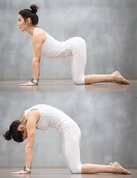 Belly fat is is different from fat elsewhere in your body. Top 5 Effective Yoga Asanas Or Postures To Reduce Belly Fat