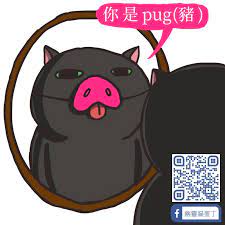 你是pug 豬 pugs scooby doo scooby