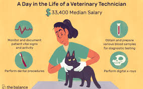 The veterinary assistant will educate clients on pet health, ensure the safety and comfort of. How Much Does A Veterinary Assistant Make Per Year
