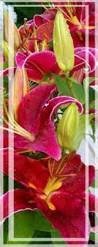 Needham Day Spa Nails Facials Waxing Spa