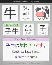 Japanese Kanji For Cow With Example Sentence Learn Japanese Japanese Language Learning Free Japanese Lessons