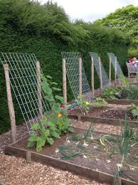 Sostener Gajos Backyard Vegetable Gardens Vegetable Garden Design Small Vegetable Gardens