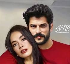 Can anyone recommended any Turkish movie