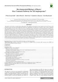 La bloc a fost unul dintre cele mai indragite si mai longevive seriale romanesti. Pdf Developmental Biology Of Roots One Common Pathway For All Angiosperms