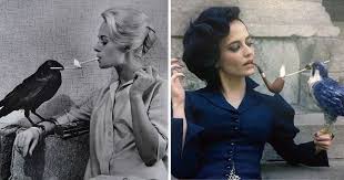 The Birds Miss Peregrine S Home For Peculiar Children Miss Peregrines Home For Peculiar Miss Peregrine S Peculiar Children Peculiar Children