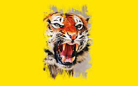 Gambar ekspresi wajah yang dipilih bisa menunjukkan kepribadianmu. Wallpaper Seni Wajah Harimau Hd Unduh Gratis Wallpaperbetter