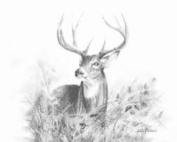 Collection of deer skull clipart free download best deer skull. Deer Antlers