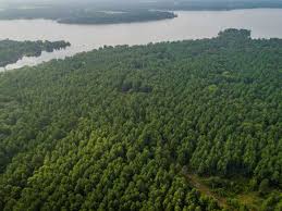 A wide range of services and products supported by a great staff knowledgeable in all aspects of lake fork and its fishing reputation with. Starr Lake Fork Ranch Ranch For Sale In Yantis Wood County Texas 129636 Ranchflip