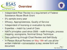 Block Grant Independent Peer Review Ppt Download