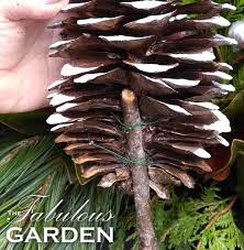 We did not find results for: How To Attach A Stick To A Pine Cone The Fabulous Garden