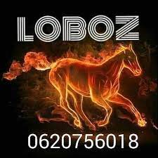 Check spelling or type a new query. Simulizi Nataka Kumuua Baba Yangu Sehemu Ya Pili Ilipoishia Sehemu Ya Kwanza Nikiwa Darasa La Tano Kuingia La Sita Wakati Huo Nikiwa Na Miaka Kumi Baba Yangu Mzazi Kwa Mara Ya Kwanza Anafanya