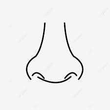 Gambar mewarnai pemandangan lembah dan pohon. Gambar Hidung Menggambar Garis Tubuh Manusia Fitur Wajah Hidung Panca Indera Png Transparan Clipart Dan File Psd Untuk Unduh Gratis Gambar Garis Menggambar Hidung Desain Garis