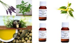 Explore a wide range of the best essential oil india on aliexpress to find one that suits you! Top Essential Oils Brands In India Tipsoye