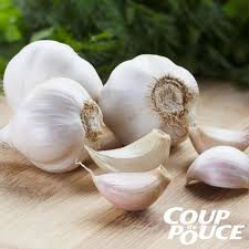 Il faut limiter l'alcool, les aliments qui sont trop. 5 Aliments Pour Aider Notre Foie Coup De Pouce