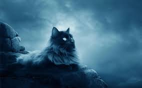 Masaustu Kedi Ekran Goruntusu 1680x1050 Piksel Bilgisayarin Duvar Kagidi Kurgusal Karakter 1680x1050 Coolwallpapers 526466 Masaustu Arka Plan Hd Wallhere