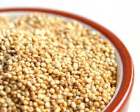 Is quinoa carbohydrate or protein?